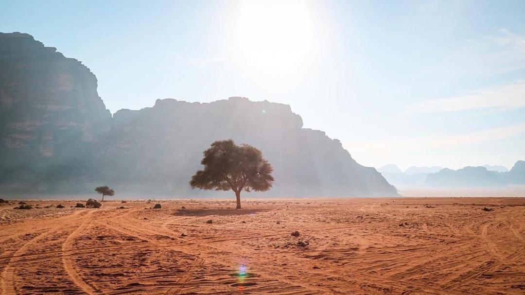 Hotel Quite Bedouin Life Wadi Rum Exterior foto